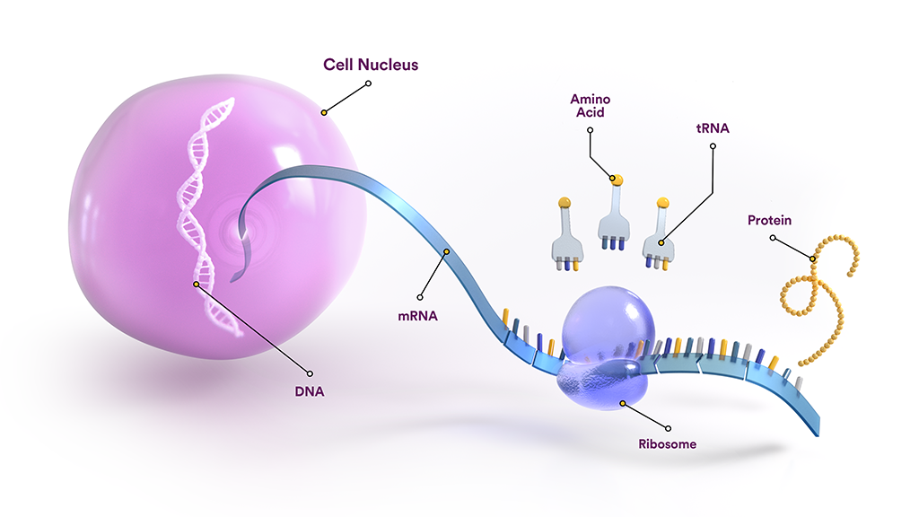 RNA Technologies for Rare Diseases Sarepta Therapeutics